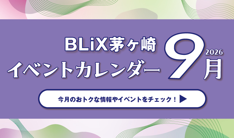 2608_BLiX_calendar09_banner790-465_00